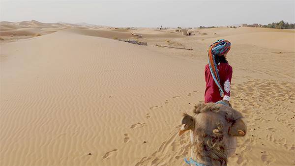 Sahara - On a camel